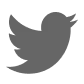 Twitter social media icon