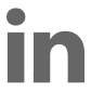 LinkedIn social media icon
